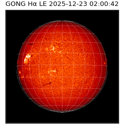 gong - 2025-12-23T02:00:42