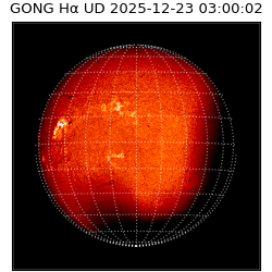 gong - 2025-12-23T03:00:02