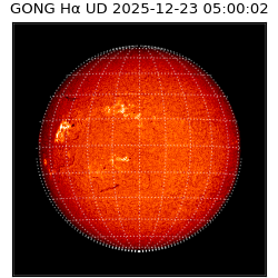 gong - 2025-12-23T05:00:02
