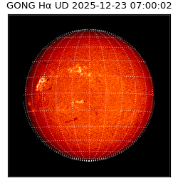 gong - 2025-12-23T07:00:02