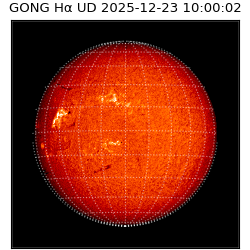 gong - 2025-12-23T10:00:02