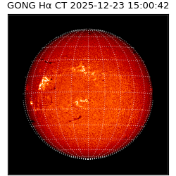 gong - 2025-12-23T15:00:42