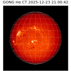 gong - 2025-12-23T21:00:42