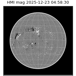 shmi - 2025-12-23T04:58:30