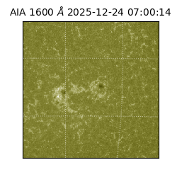 saia - 2025-12-24T07:00:14.130000