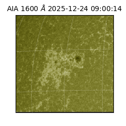 saia - 2025-12-24T09:00:14.126000