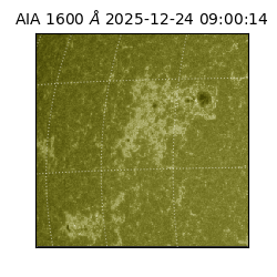 saia - 2025-12-24T09:00:14.126000