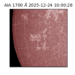 saia - 2025-12-24T10:00:28.721000