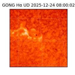 gong - 2025-12-24T08:00:02