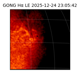 gong - 2025-12-24T23:05:42
