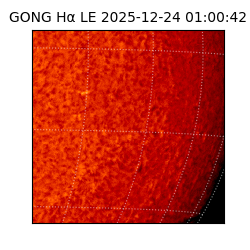 gong - 2025-12-24T01:00:42