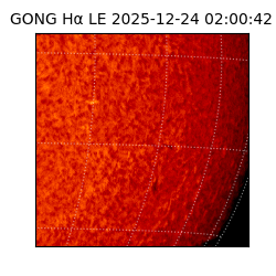 gong - 2025-12-24T02:00:42