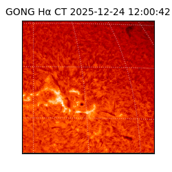 gong - 2025-12-24T12:00:42