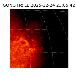 gong - 2025-12-24T23:05:42