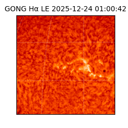 gong - 2025-12-24T01:00:42