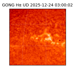 gong - 2025-12-24T03:00:02