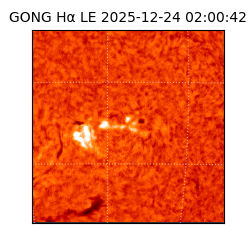 gong - 2025-12-24T02:00:42