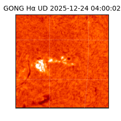 gong - 2025-12-24T04:00:02