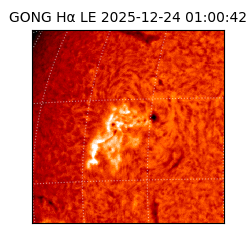 gong - 2025-12-24T01:00:42