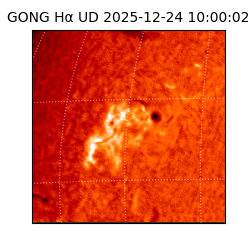 gong - 2025-12-24T10:00:02