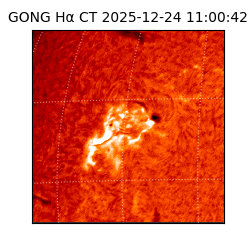 gong - 2025-12-24T11:00:42