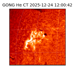 gong - 2025-12-24T12:00:42