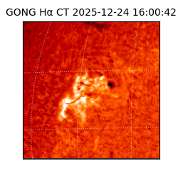 gong - 2025-12-24T16:00:42