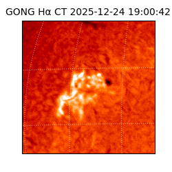 gong - 2025-12-24T19:00:42