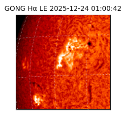 gong - 2025-12-24T01:00:42