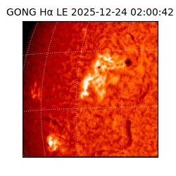 gong - 2025-12-24T02:00:42