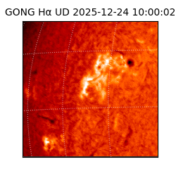 gong - 2025-12-24T10:00:02