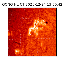 gong - 2025-12-24T13:00:42