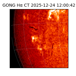 gong - 2025-12-24T12:00:42