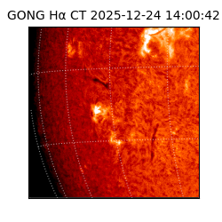 gong - 2025-12-24T14:00:42
