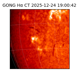gong - 2025-12-24T19:00:42