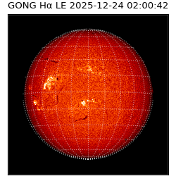 gong - 2025-12-24T02:00:42