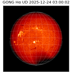 gong - 2025-12-24T03:00:02