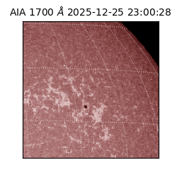 saia - 2025-12-25T23:00:28.726000