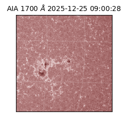 saia - 2025-12-25T09:00:28.718000