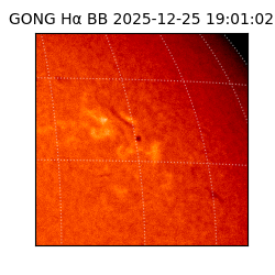 gong - 2025-12-25T19:01:02