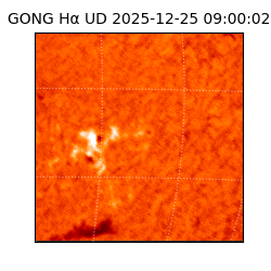 gong - 2025-12-25T09:00:02