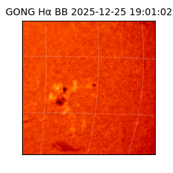 gong - 2025-12-25T19:01:02
