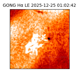 gong - 2025-12-25T01:02:42