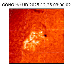 gong - 2025-12-25T03:00:02