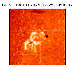 gong - 2025-12-25T09:00:02