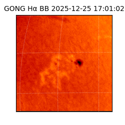 gong - 2025-12-25T17:01:02