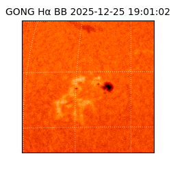 gong - 2025-12-25T19:01:02