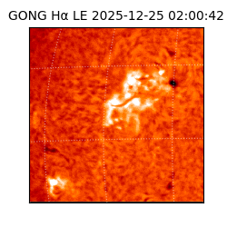 gong - 2025-12-25T02:00:42