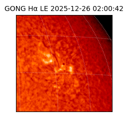 gong - 2025-12-26T02:00:42