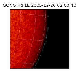 gong - 2025-12-26T02:00:42
